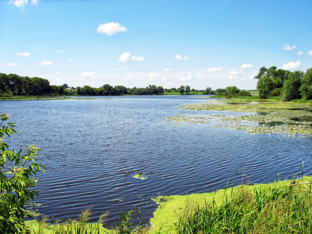 Гідрологічний заказник «Башта»